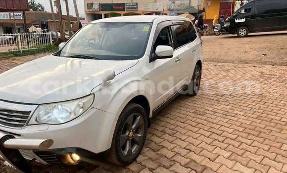 Buy Used Subaru Forester White Car in Kampala in Uganda Buy Used Subaru Forester White Car in Kampala in Uganda