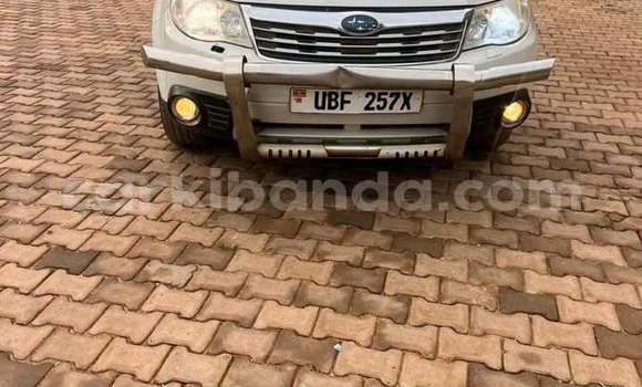 Buy Used Subaru Forester White Car in Kampala in Uganda Buy Used Subaru Forester White Car in Kampala in Uganda