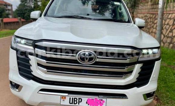 Buy Used Toyota Land Cruiser White Car in Kampala in Uganda