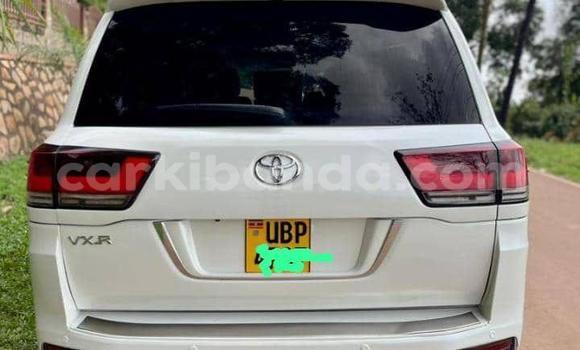 Buy Used Toyota Land Cruiser White Car in Kampala in Uganda Buy Used Toyota Land Cruiser White Car in Kampala in Uganda
