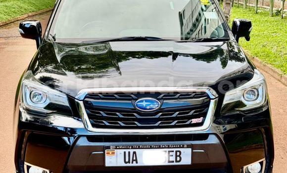 Buy New Subaru XT Black Car in Kampala in Uganda Buy New Subaru XT Black Car in Kampala in Uganda
