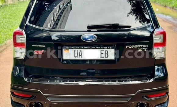 Buy New Subaru XT Black Car in Kampala in Uganda Buy New Subaru XT Black Car in Kampala in Uganda