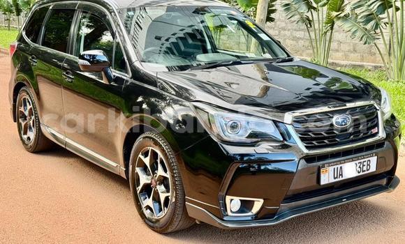 Buy New Subaru XT Black Car in Kampala in Uganda Buy New Subaru XT Black Car in Kampala in Uganda