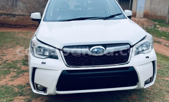 Nunua Imported Subaru Forester Nyeupe Gari ndani ya Kampala nchini Uganda Nunua Imported Subaru Forester Nyeupe Gari ndani ya Kampala nchini Uganda