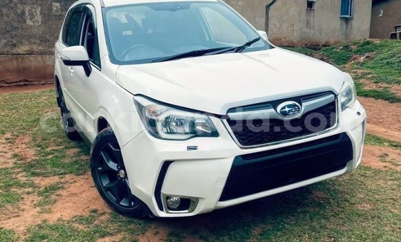Nunua Imported Subaru Forester Nyeupe Gari ndani ya Kampala nchini Uganda Nunua Imported Subaru Forester Nyeupe Gari ndani ya Kampala nchini Uganda