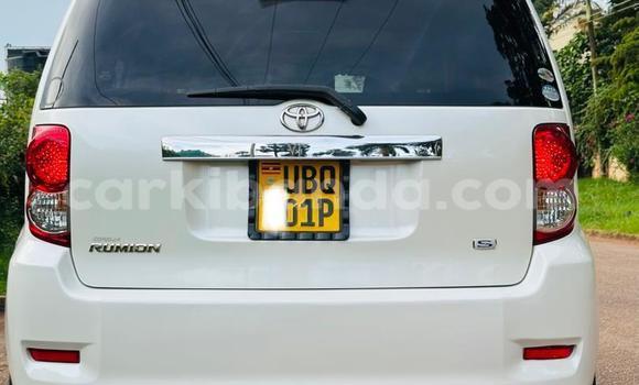 Nunua Ilio tumika Toyota Allex Nyeupe Gari ndani ya Kampala nchini Uganda Nunua Ilio tumika Toyota Allex Nyeupe Gari ndani ya Kampala nchini Uganda