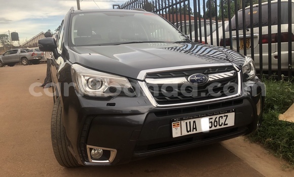 Acheter Neuf Voiture Subaru Forester Autre à Kampala, Ouganda Acheter Neuf Voiture Subaru Forester Autre à Kampala, Ouganda
