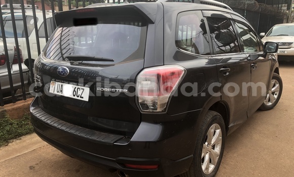Acheter Neuf Voiture Subaru Forester Autre à Kampala, Ouganda Acheter Neuf Voiture Subaru Forester Autre à Kampala, Ouganda
