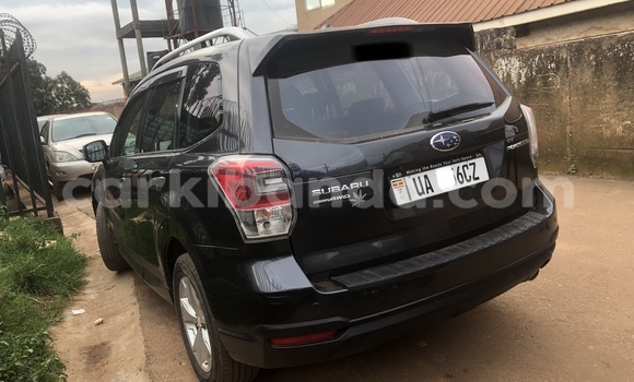 Acheter Neuf Voiture Subaru Forester Autre à Kampala, Ouganda Acheter Neuf Voiture Subaru Forester Autre à Kampala, Ouganda