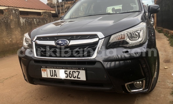 Acheter Neuf Voiture Subaru Forester Autre à Kampala, Ouganda Acheter Neuf Voiture Subaru Forester Autre à Kampala, Ouganda