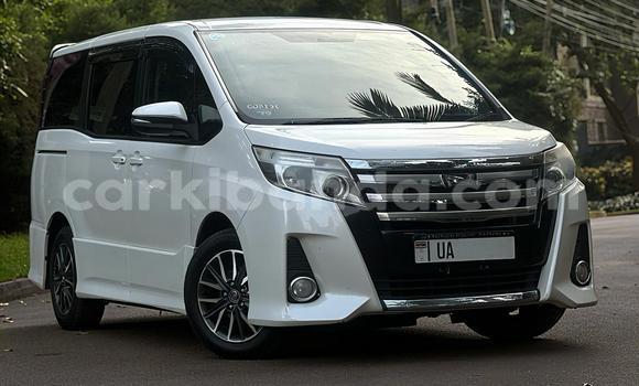 Buy New Toyota Noah White Car in Kampala in Uganda Buy New Toyota Noah White Car in Kampala in Uganda