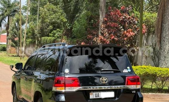 Buy New Toyota Land Cruiser Black Car in Kampala in Uganda Buy New Toyota Land Cruiser Black Car in Kampala in Uganda