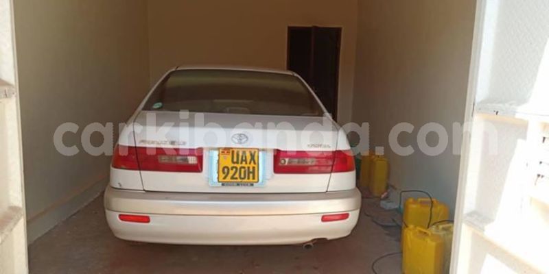 Big with watermark 51311771 1877649845691219 8598551760979623936 o