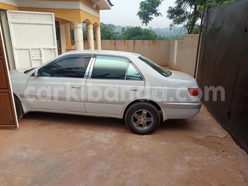 Big with watermark 51885886 1877649909024546 1150729069831127040 n