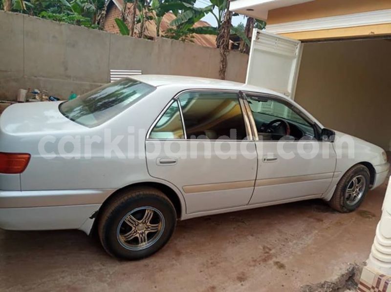 Big with watermark 51405206 1877649879024549 3680058176851410944 n