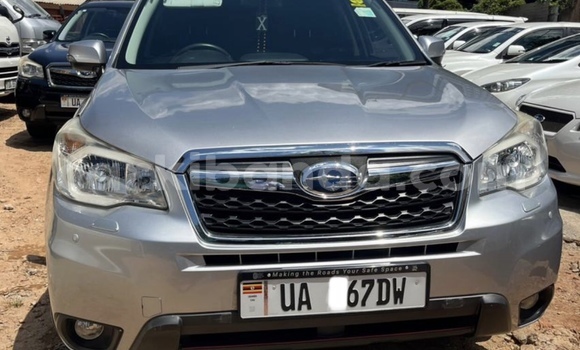 Acheter Neuf Voiture Subaru Forester Gris à Kampala, Ouganda Acheter Neuf Voiture Subaru Forester Gris à Kampala, Ouganda