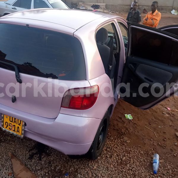 Big with watermark 51593504 1869769729812564 8096224476372402176 n