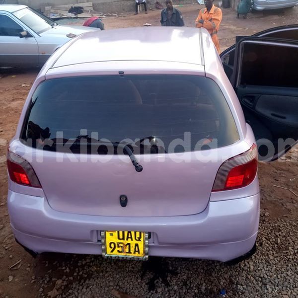 Big with watermark 50999764 1869769653145905 4935035448805294080 n