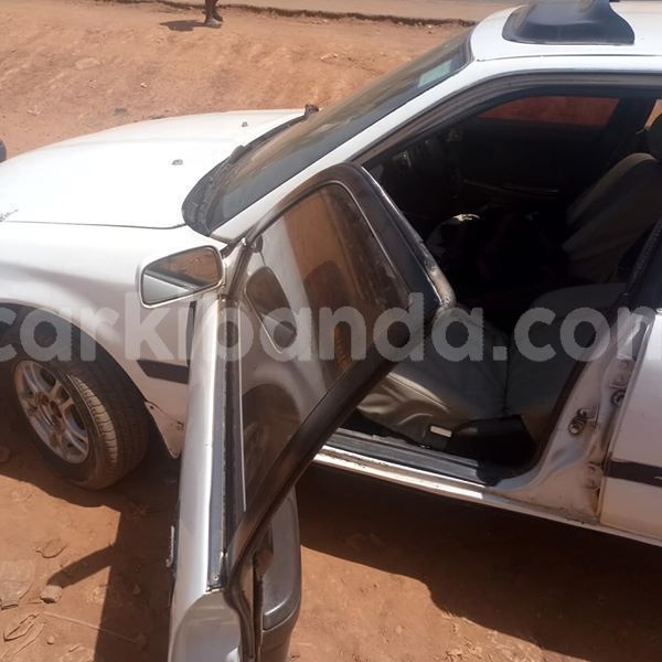 Big with watermark 51030762 1869651876491016 2228107051798626304 n