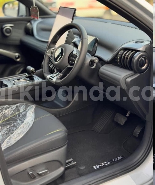 Big with watermark byd atto3 uganda kampala 25511