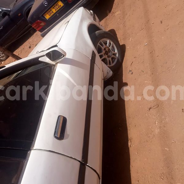 Big with watermark 51152200 1869651733157697 1179525382441795584 n