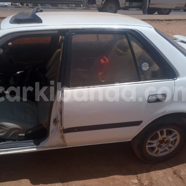 Big with watermark 51240474 1869651639824373 9148440212047659008 n