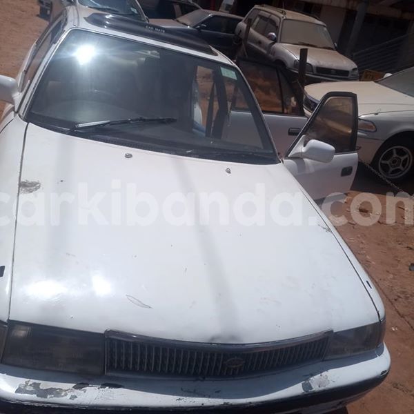 Big with watermark 51032919 1869651426491061 1939510671418851328 n