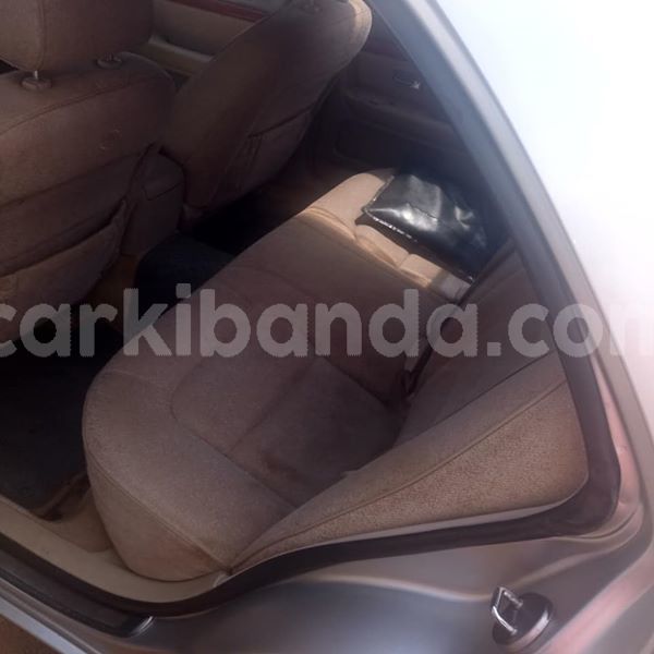 Big with watermark 51103790 1868995406556663 4342590322874777600 n