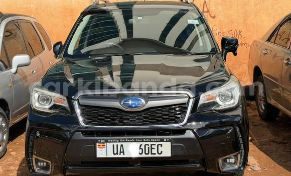 Gura Nshya Subaru Forester Black Imodoka i Kampala mu Uganda Gura Nshya Subaru Forester Black Imodoka i Kampala mu Uganda