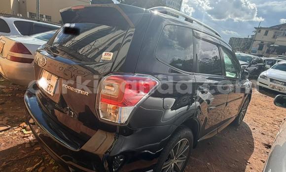 Gura Nshya Subaru Forester Black Imodoka i Kampala mu Uganda Gura Nshya Subaru Forester Black Imodoka i Kampala mu Uganda