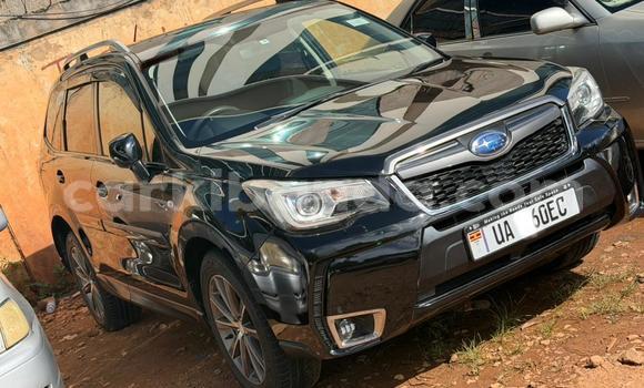 Gura Nshya Subaru Forester Black Imodoka i Kampala mu Uganda Gura Nshya Subaru Forester Black Imodoka i Kampala mu Uganda