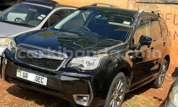 Gura Nshya Subaru Forester Black Imodoka i Kampala mu Uganda Gura Nshya Subaru Forester Black Imodoka i Kampala mu Uganda