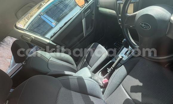 Gura Nshya Subaru Forester Black Imodoka i Kampala mu Uganda Gura Nshya Subaru Forester Black Imodoka i Kampala mu Uganda