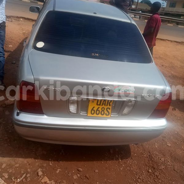 Big with watermark 50951950 1868995349890002 5211769103743713280 n