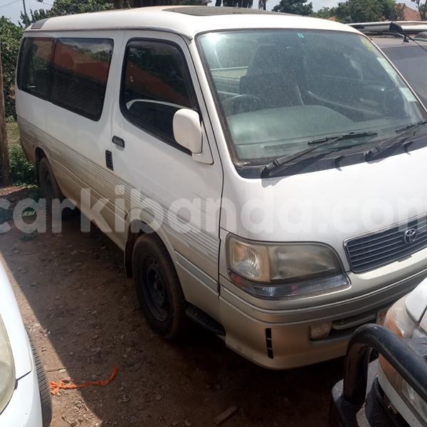 Big with watermark 51007260 1863464140443123 5114443680232505344 n