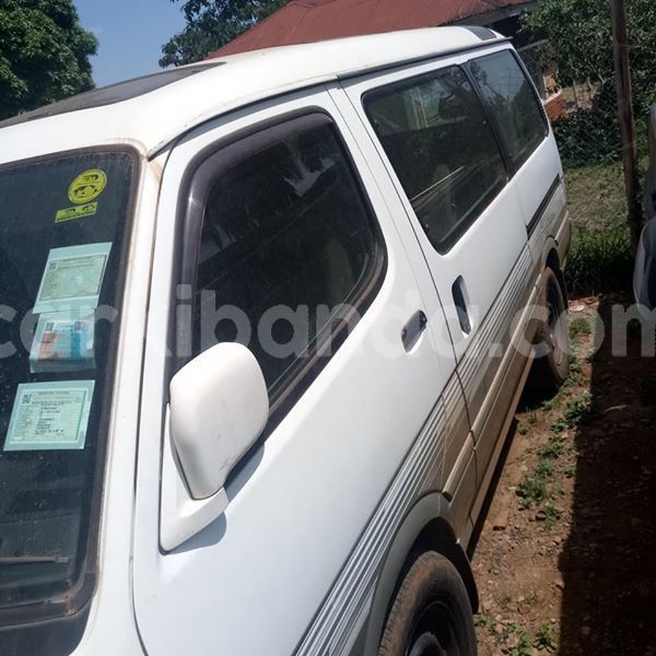 Big with watermark 50735912 1863464030443134 1108404374742237184 n