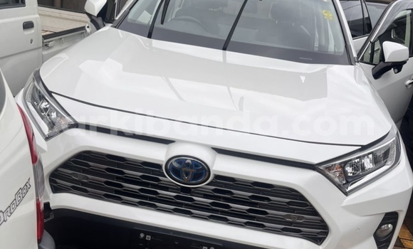 Nunua Mpya Toyota RAV4 Nyeupe Gari ndani ya Kampala nchini Uganda Nunua Mpya Toyota RAV4 Nyeupe Gari ndani ya Kampala nchini Uganda