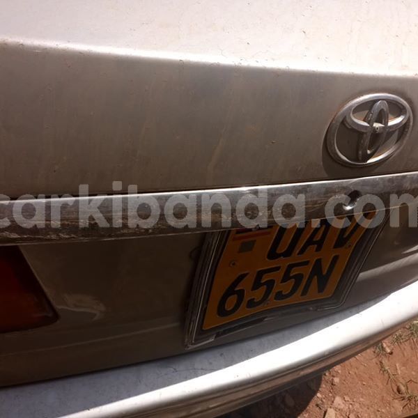 Big with watermark 50851682 1863432303779640 7795424599256072192 n