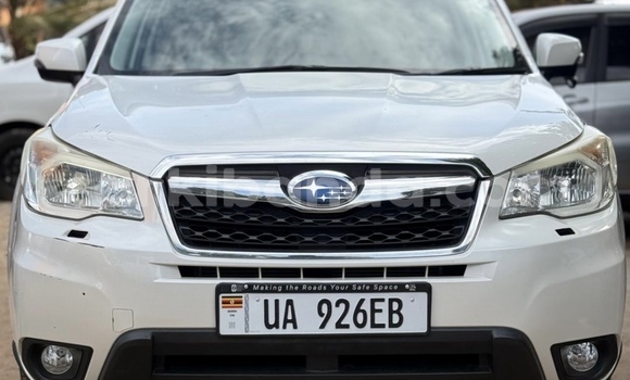 Buy New Subaru Forester White Car in Kampala in Uganda Buy New Subaru Forester White Car in Kampala in Uganda