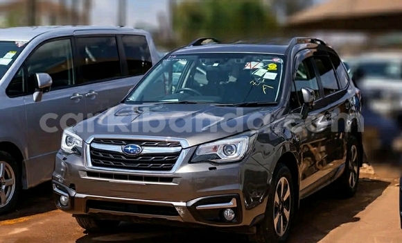 Buy Used Subaru Forester Beige Car in Kampala in Uganda