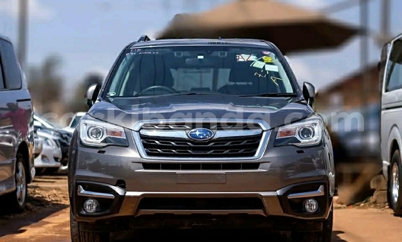Buy Used Subaru Forester Beige Car in Kampala in Uganda Buy Used Subaru Forester Beige Car in Kampala in Uganda