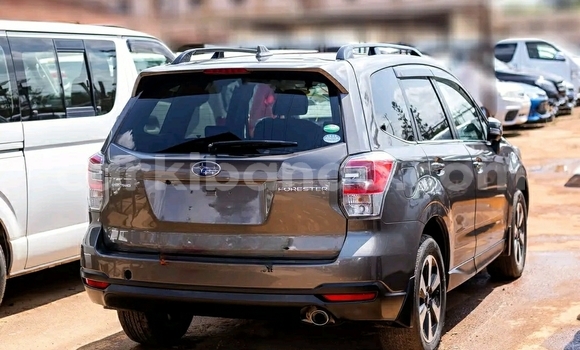Buy Used Subaru Forester Beige Car in Kampala in Uganda Buy Used Subaru Forester Beige Car in Kampala in Uganda