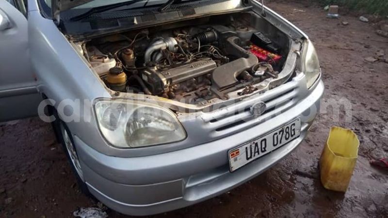 Big with watermark 49753044 1838334366289434 4589676832181190656 n