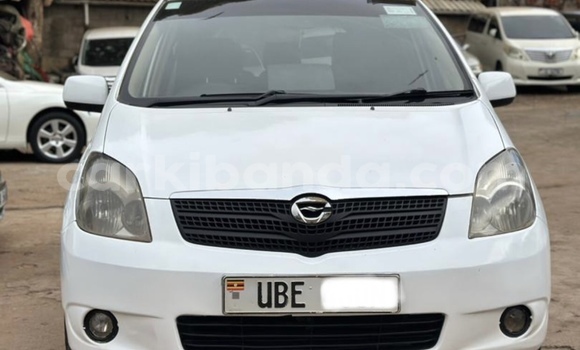 Buy Used Toyota Spacio White Car in Kampala in Uganda