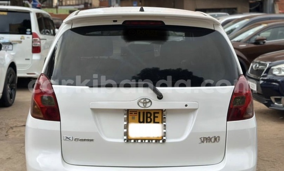 Buy Used Toyota Spacio White Car in Kampala in Uganda Buy Used Toyota Spacio White Car in Kampala in Uganda