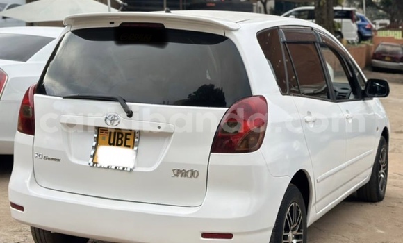 Buy Used Toyota Spacio White Car in Kampala in Uganda Buy Used Toyota Spacio White Car in Kampala in Uganda