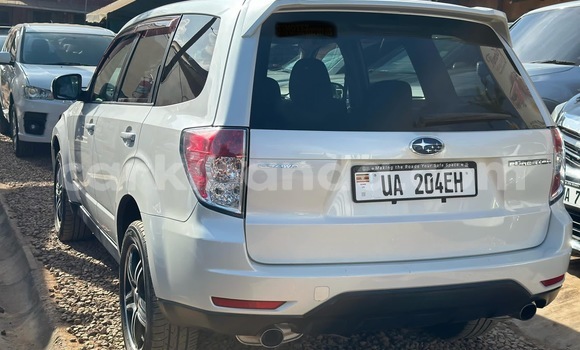 Gura Nshya Subaru Forester White Imodoka i Kalangala mu Central Gura Nshya Subaru Forester White Imodoka i Kalangala mu Central