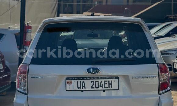 Buy New Subaru Forester White Car in Kalangala in Central Buy New Subaru Forester White Car in Kalangala in Central