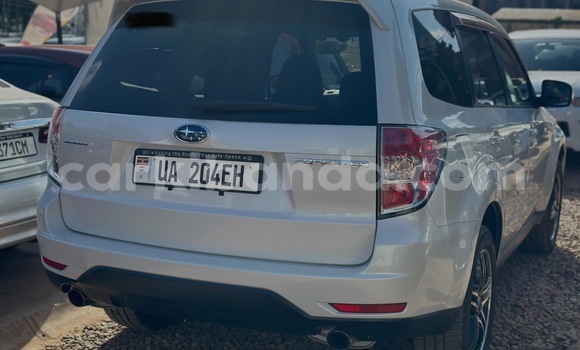 Buy New Subaru Forester White Car in Kalangala in Central Buy New Subaru Forester White Car in Kalangala in Central