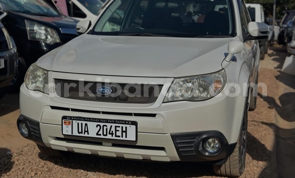 Buy New Subaru Forester White Car in Kalangala in Central Buy New Subaru Forester White Car in Kalangala in Central